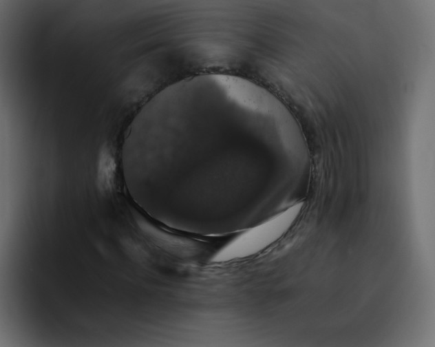 X0000092060916200710031058