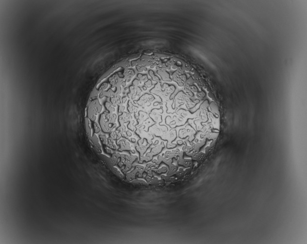 X0000092060917200710031058