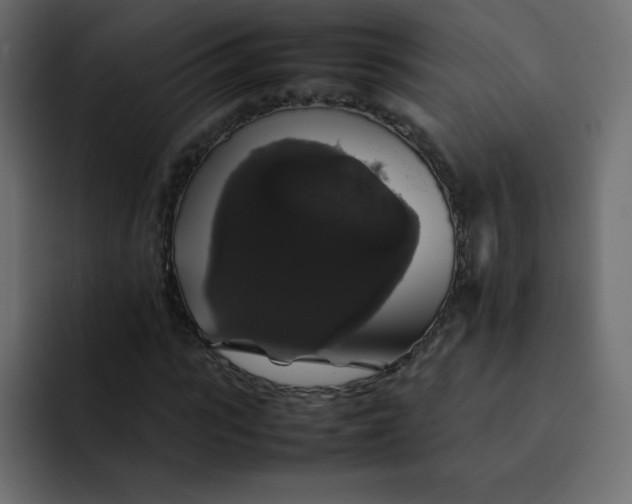 X0000092060919200710031058