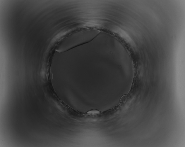 X0000092060920200710031058