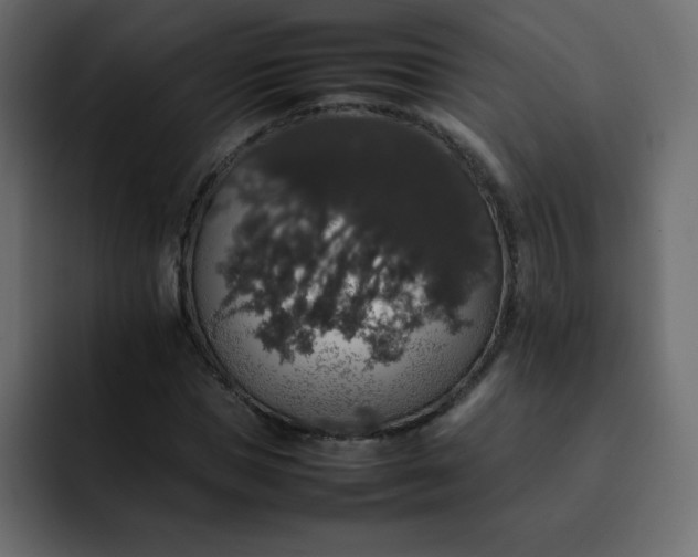 X0000092060921200710031058