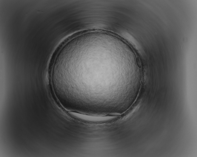 X0000092060924200710031058