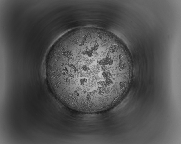 X0000092060925200710031058