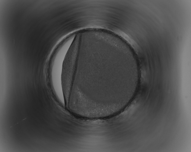 X0000092060926200710031058