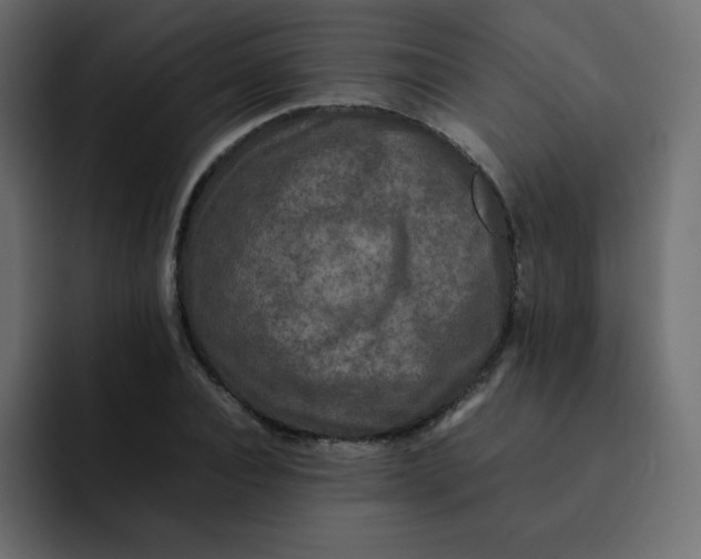 X0000092060928200710031058