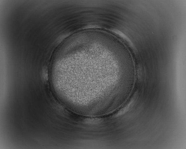 X0000092060929200710031058