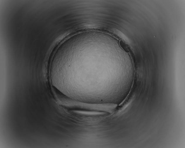 X0000092060930200710031058