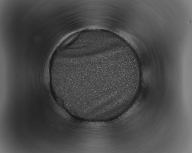 X0000092060934200710031058