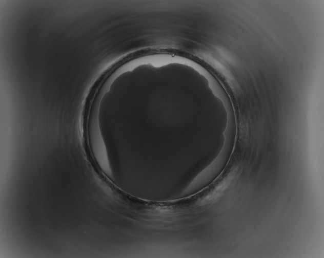 X0000092060935200710031058