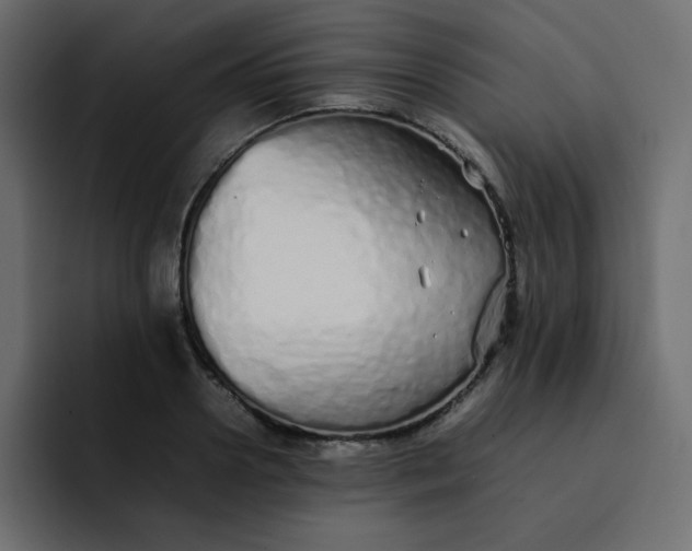 X0000092060938200710031058