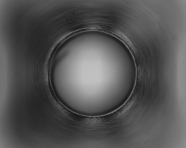 X0000092060939200710031058