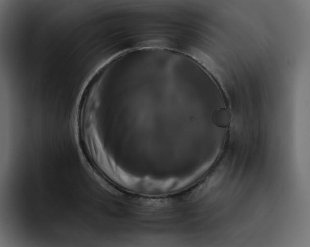 X0000092060941200710031058