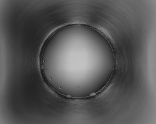 X0000092060942200710031058