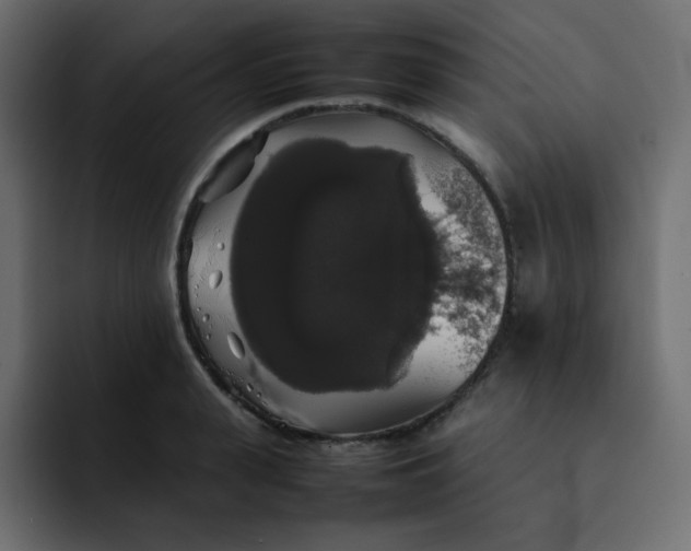 X0000092060943200710031058