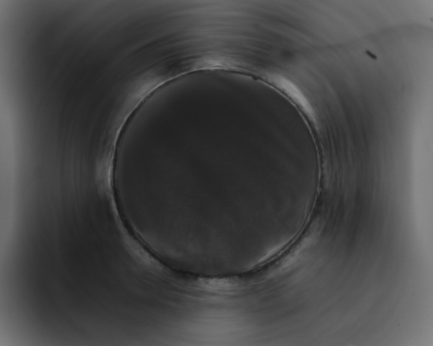 X0000092060946200710031058