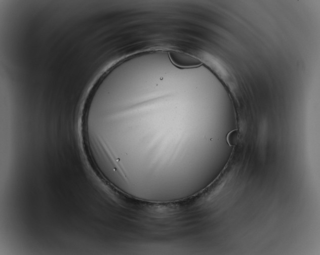 X0000092060947200710031058