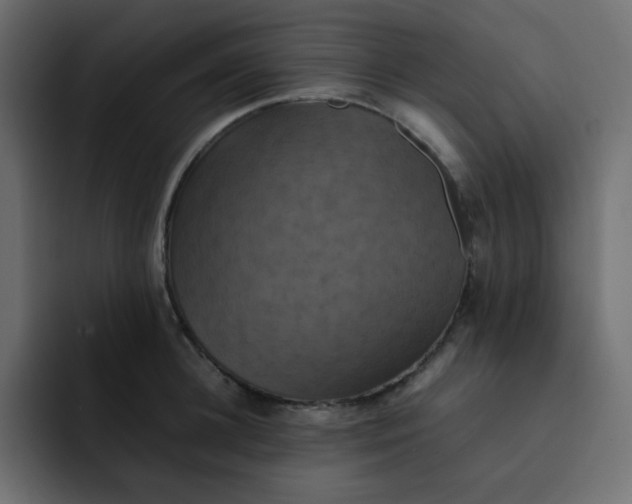 X0000092060948200710031058