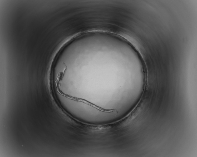 X0000092060949200710031058