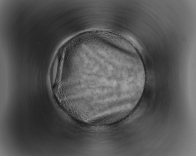 X0000092060952200710031058