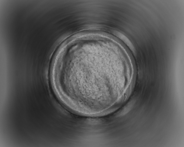 X0000092060954200710031058