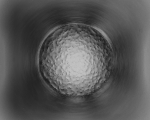 X0000092060957200710031058