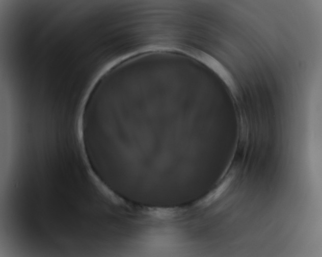 X0000092060958200710031058