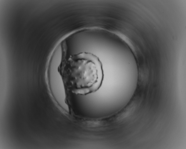 X0000092060959200710031058