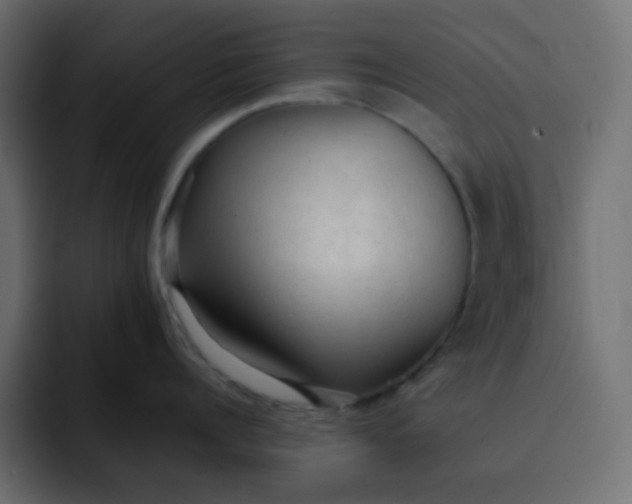 X0000092060960200710031058