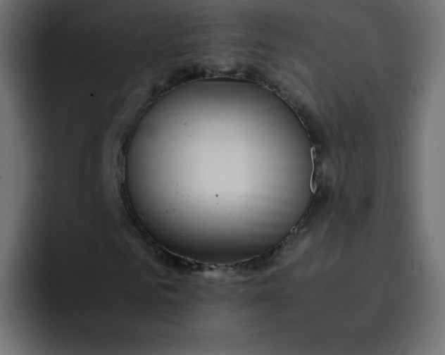 X0000092060961200710031058