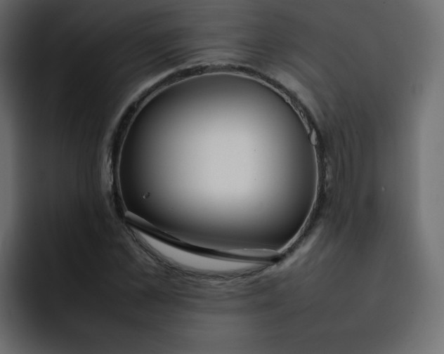 X0000092060973200710031057