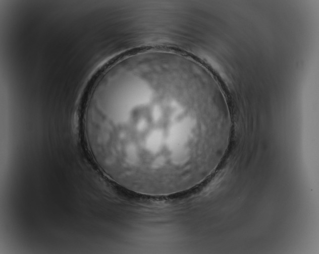 X0000092060975200710031057