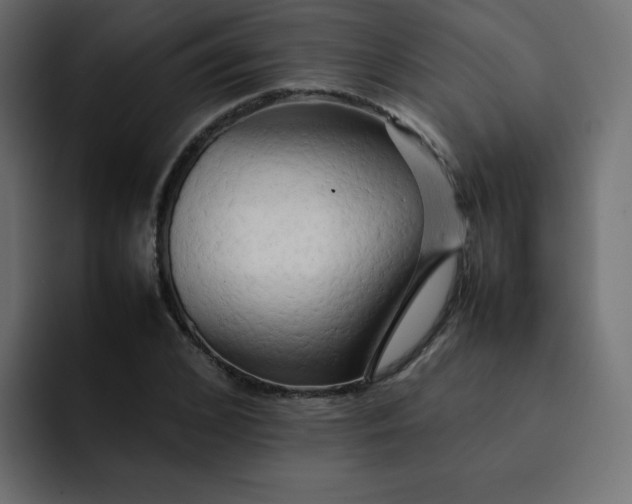 X0000092060976200710031057