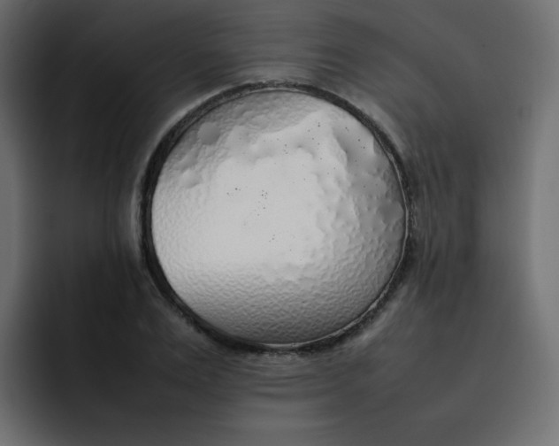 X0000092060983200710031057