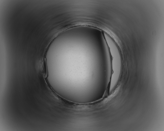 X0000092060993200710031057