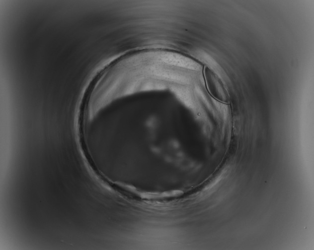 X0000092060995200710031057