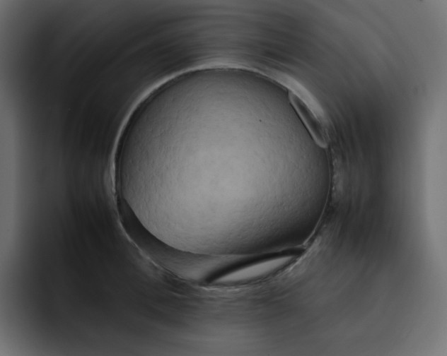 X0000092060996200710031057