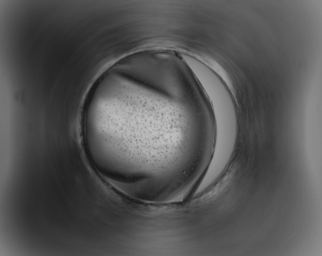 X0000092060997200710031057