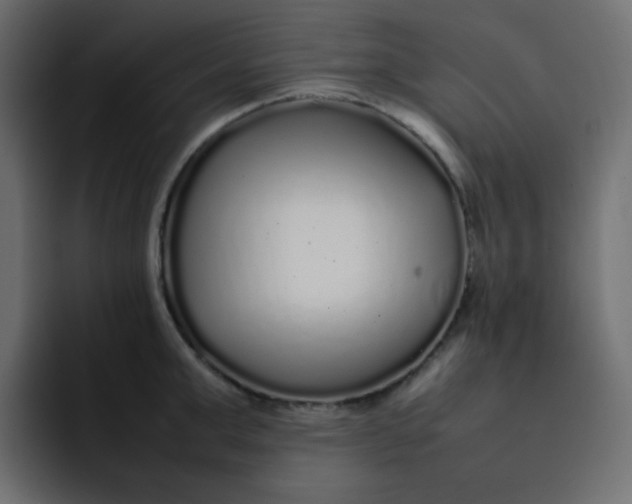 X0000092060999200710031057