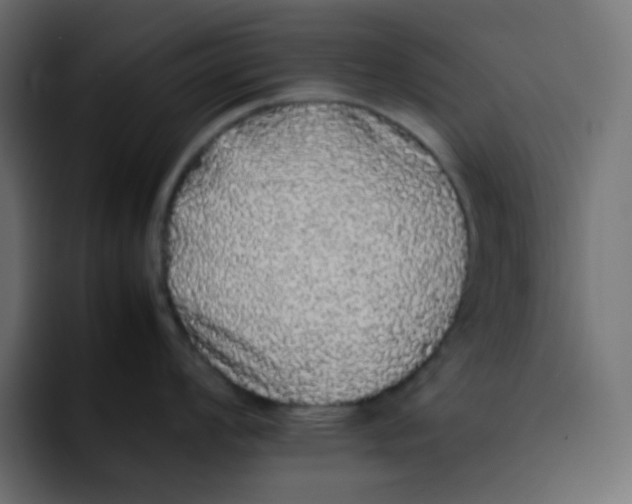 X0000092061008200710031057