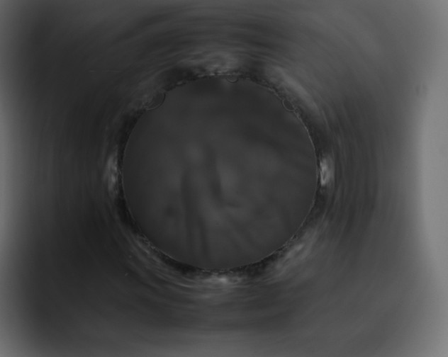 X0000092061011200710031056