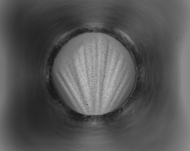 X0000092061016200710031057