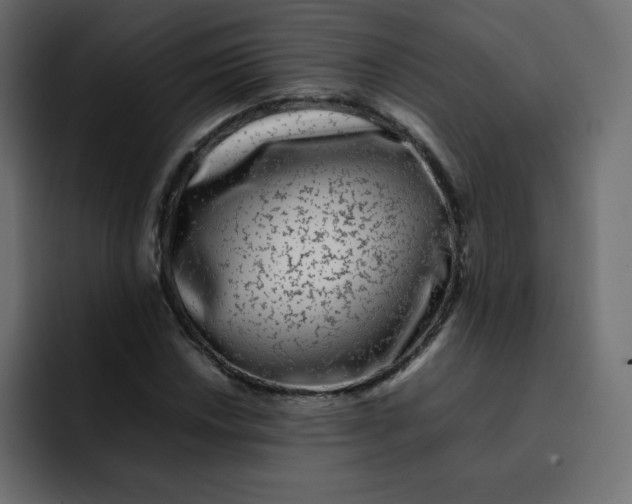 X0000092061018200710031057