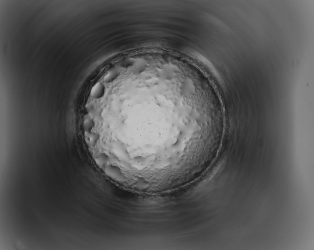 X0000092061019200710031057