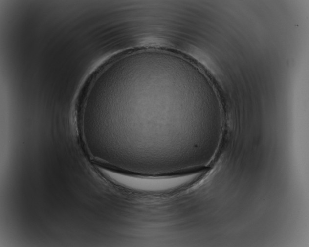 X0000092061022200710031057