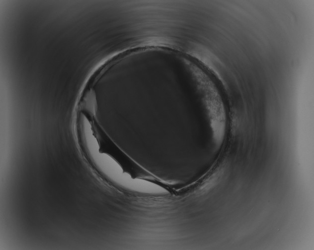 X0000092061024200710031057