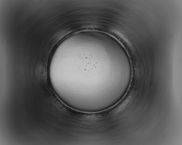 X0000092061025200710031057