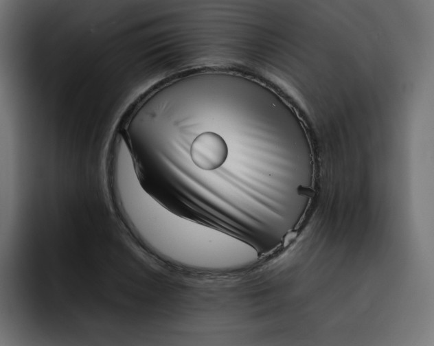 X0000092061026200710031057