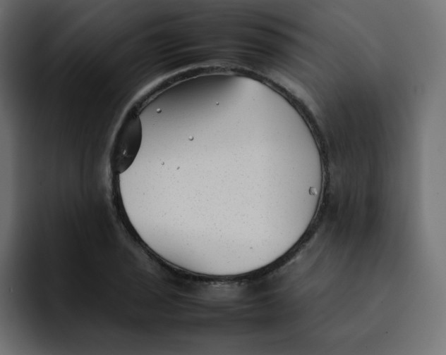 X0000092061029200710031057