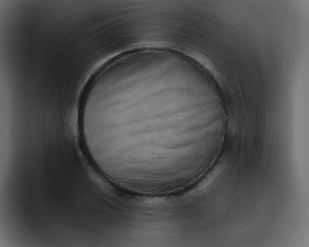 X0000092061030200710031057