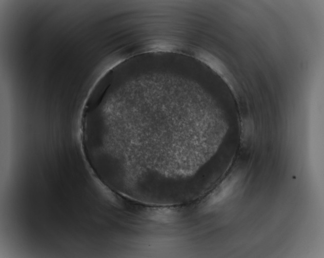 X0000092061042200710031057